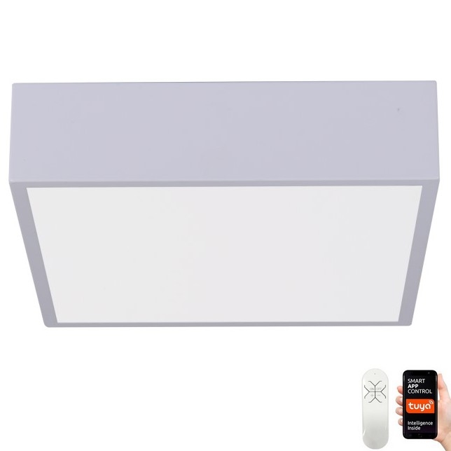 Immax NEO 07238L - LED Димируем плафон CANTO LED/22W/230V бял Tuya + дистанционно управление