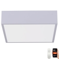 Immax NEO 07238L - LED регулируемо таванно осветително тяло CANTO LED/22W/230V бяло Tuya + дистанционно управление
