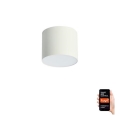 Immax NEO 07241L - LED димируемо таванно осветително тяло RONDATE LED/18W/230V 11,5cm Wi-Fi Tuya