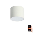 Immax NEO 07243L - LED регулируемо таванно осветително тяло RONDATE LED/32W/230V 16,5 см Wi-Fi Tuya