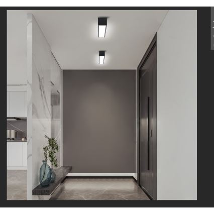 Immax NEO 07254L - LED Димируем плафон NEO LITE LUNGO LED/20W/230V 3000-6000K Wi-Fi Tuya черен + дистанционно управление