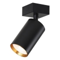 Immax NEO 07260W - LED RGB+CCT Димируем спот NEO LITE PUNTO 1xGU10/6W/230V Wi-Fi Tuya