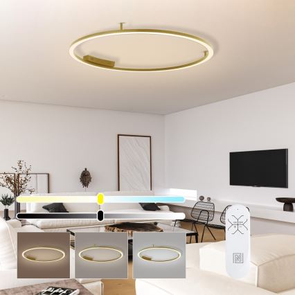 Immax NEO 07290-120G - LED+CCT Димируемо таванно осветително тяло FINO LED/55W/230V 2700-6500K Tuya Ø 120 см + дистанционно управление