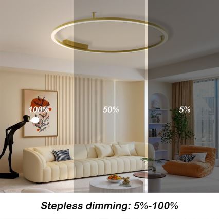 Immax NEO 07290-120G - LED+CCT Димируемо таванно осветително тяло FINO LED/55W/230V 2700-6500K Tuya Ø 120 см + дистанционно управление
