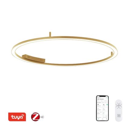 Immax NEO 07290-120G - LED+CCT Димируемо таванно осветително тяло FINO LED/55W/230V 2700-6500K Tuya Ø 120 см + дистанционно управление