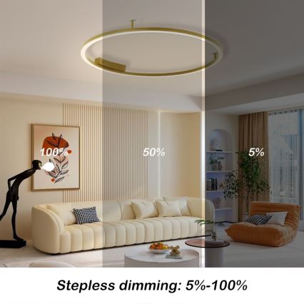 Immax NEO 07291-80G - LED+CCT Димируем таванен плафон FINO LED/55W/230V 2700-6500K Tuya Ø 80 cm + дистанционно управление