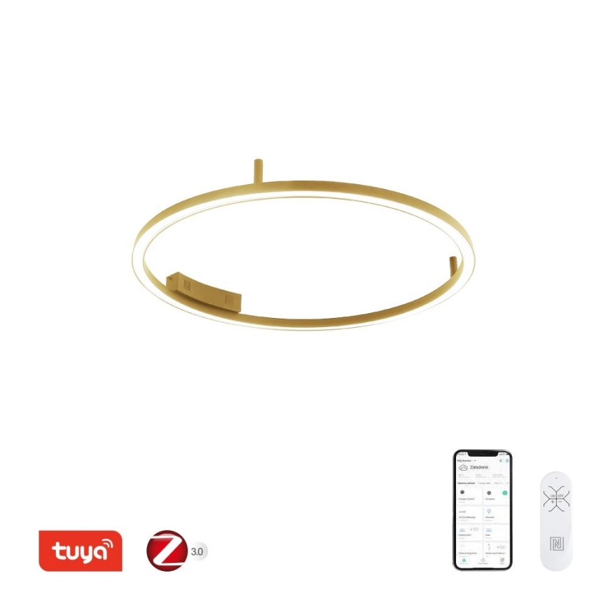 Immax NEO 07291-80G - LED+CCT Димируем таванен плафон FINO LED/55W/230V 2700-6500K Tuya Ø 80 cm + дистанционно управление
