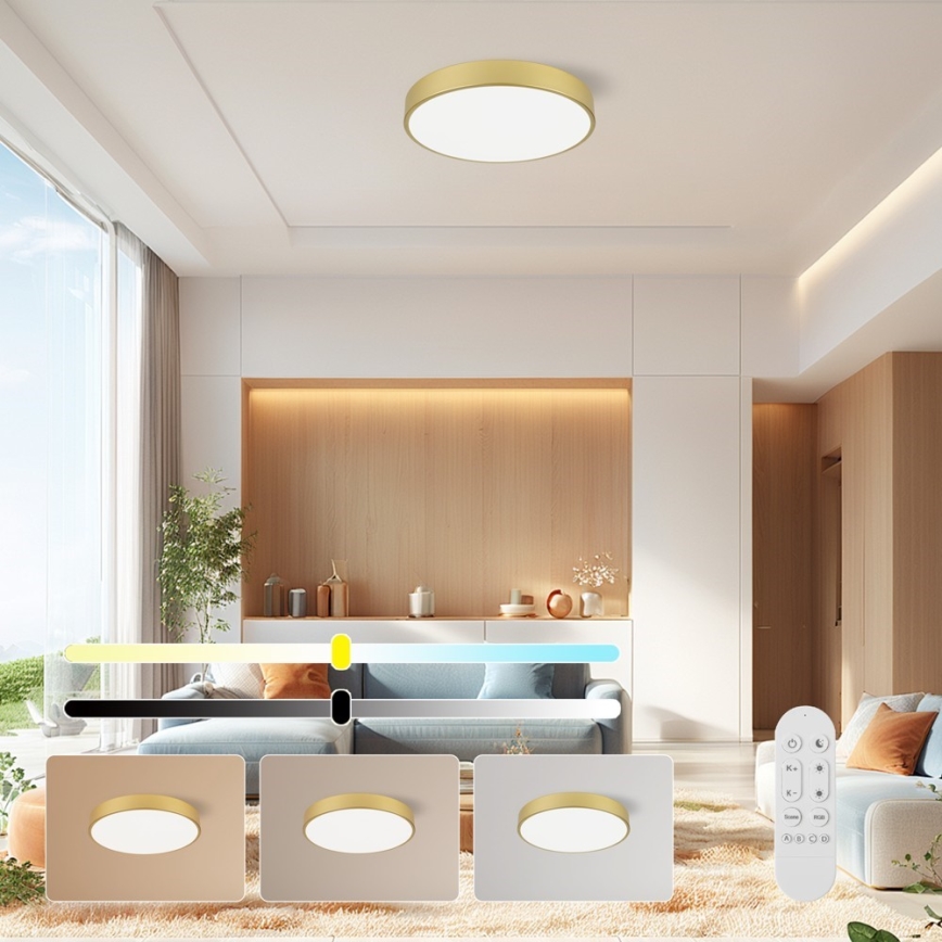 Immax NEO 07292L - LED+CCT Димируемо таванно осветително тяло SEMPLICI LED/36W/230V 2700–6500K, диам. 40 см + дистанционно управление