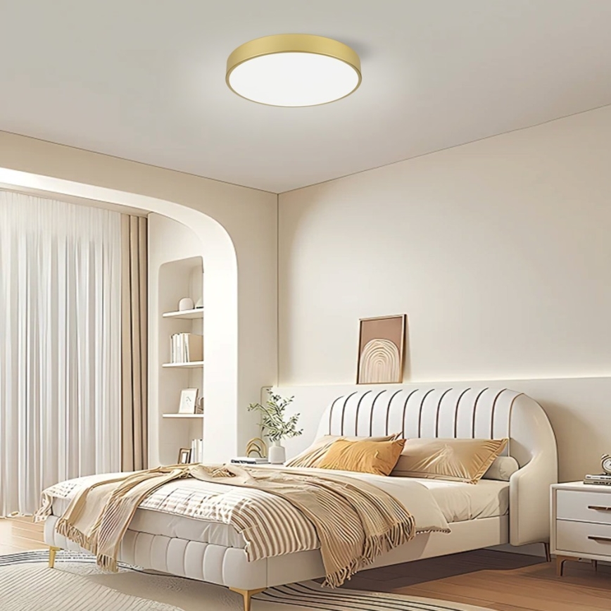 Immax NEO 07292L - LED+CCT Димируемо таванно осветително тяло SEMPLICI LED/36W/230V 2700–6500K, диам. 40 см + дистанционно управление