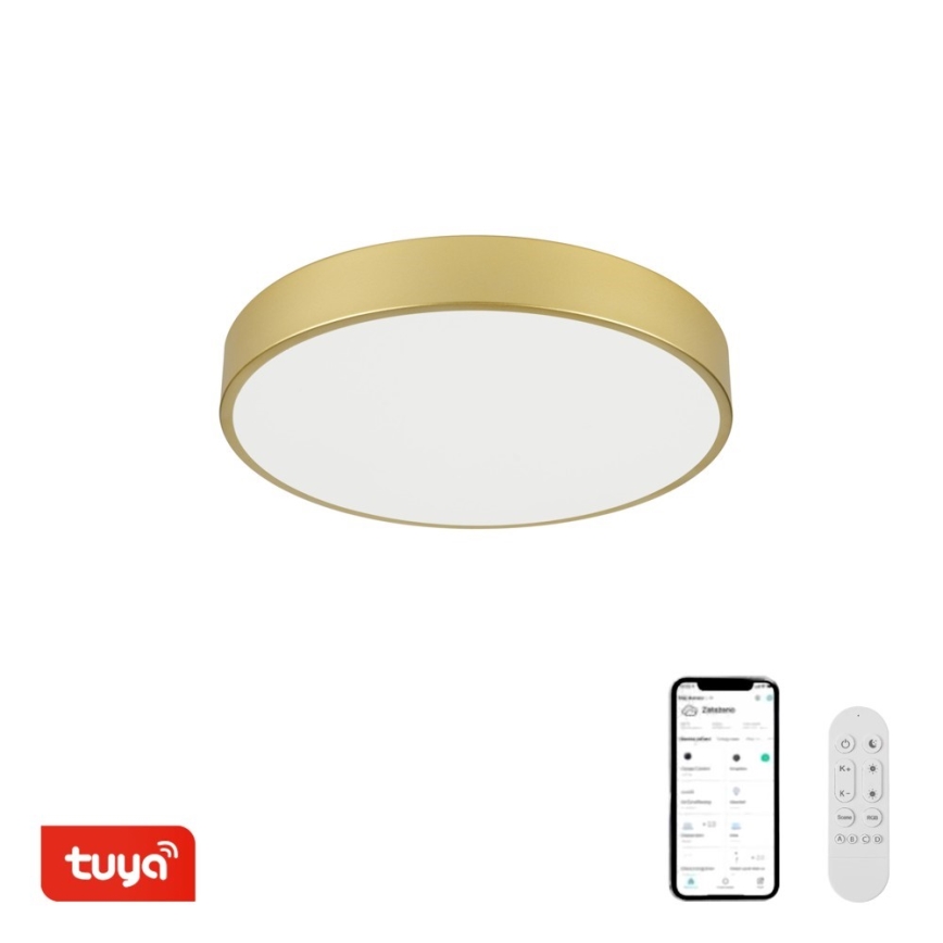 Immax NEO 07292L - LED+CCT Димируемо таванно осветително тяло SEMPLICI LED/36W/230V 2700–6500K, диам. 40 см + дистанционно управление