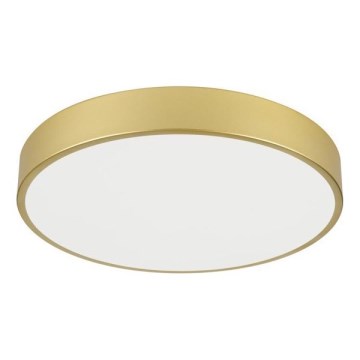Immax NEO 07292L - LED+CCT Димируемо таванно осветително тяло SEMPLICI LED/36W/230V 2700–6500K, диам. 40 см + дистанционно управление