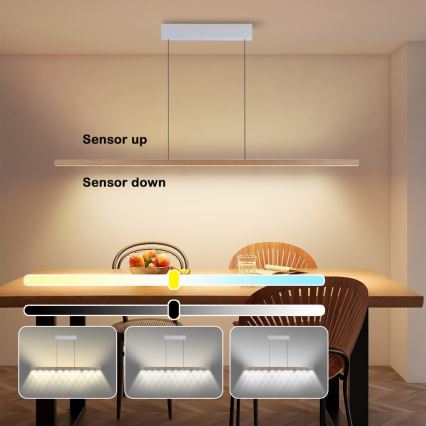 Immax NEO 07310L - димируем LED полилей на кабел с вграден сензор MADEIRA LED/37W/230V 157 cm ясен