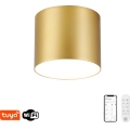 Immax NEO 07317L - LED димируем таванен плафон RONDATE LED/18W/230V Ø 11,5cm Wi-Fi Tuya златист