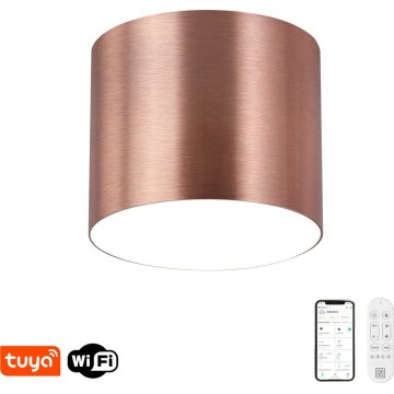 Immax NEO 07320L - Димируема LED таванна лампа RONDATE LED/32W/230V Ø 16,5 см Wi-Fi Tuya розово злато
