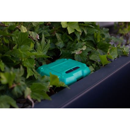 Immax NEO 07509L - Сензор за температура и влага на почвата NEO LITE 3xAAA IP65