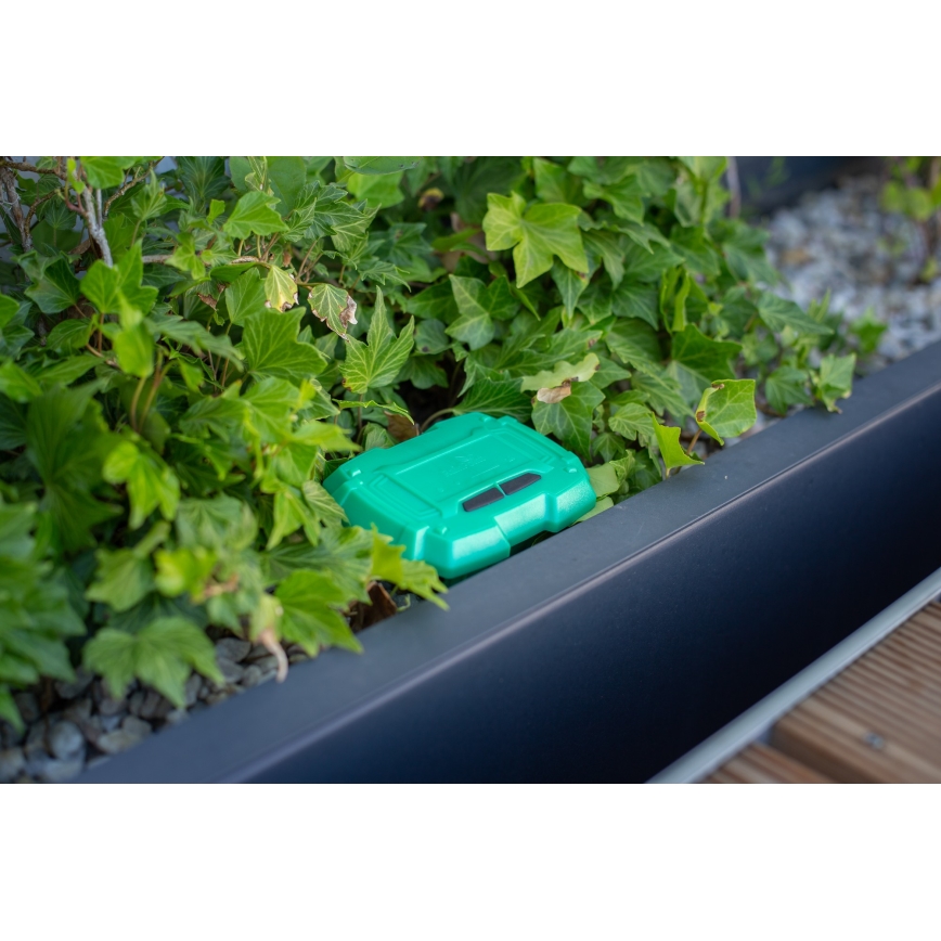 Immax NEO 07509L - Сензор за температура и влага на почвата NEO LITE 3xAAA IP65