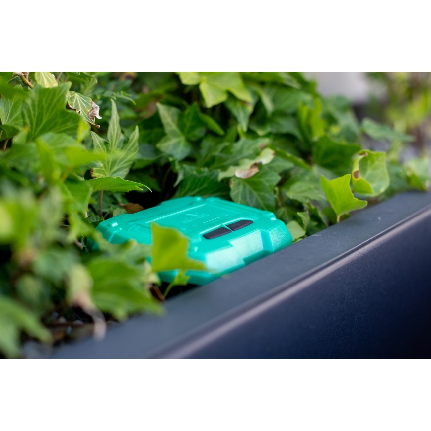 Immax NEO 07509L - Сензор за температура и влага на почвата NEO LITE 3xAAA IP65