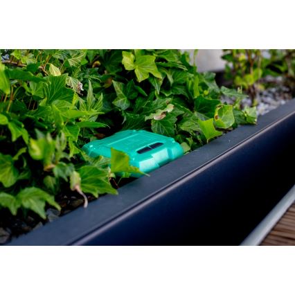 Immax NEO 07509L - Сензор за температура и влага на почвата NEO LITE 3xAAA IP65