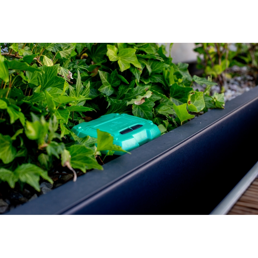 Immax NEO 07509L - Сензор за температура и влага на почвата NEO LITE 3xAAA IP65