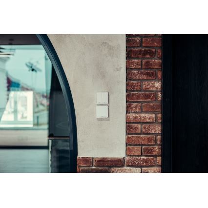 Immax NEO 07513L - 2-бутонен превключвател SMART 230V Wi-Fi Tuya