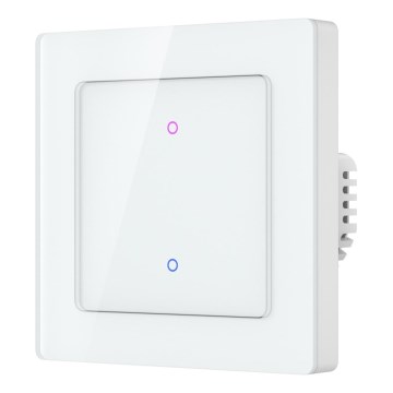 Immax NEO 07539L - Умен двубутонен ключ 230V Wi-Fi Tuya