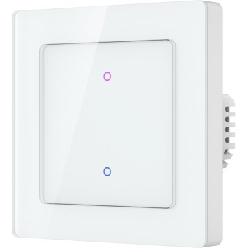 Immax NEO 07550L - Двубутонен SMART ключ 230V