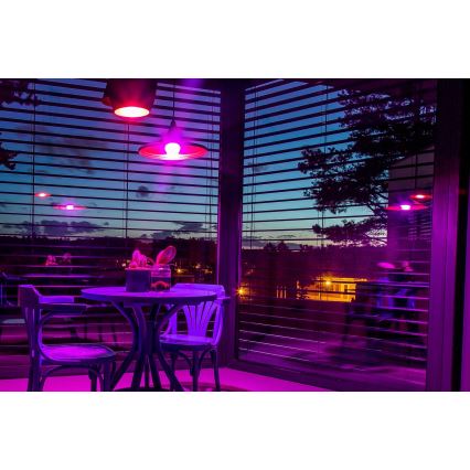 Immax NEO 07745L - LED RGB+CCT димируема крушка E14/6W/230V 2700-6500K Wi-Fi Tuya