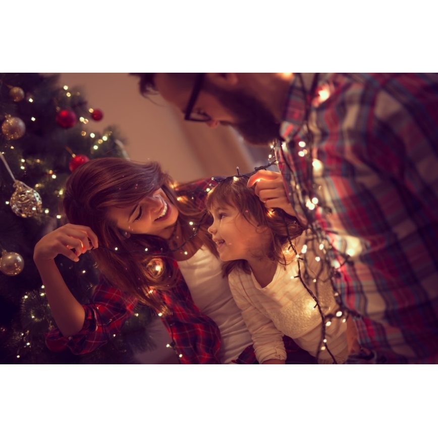 Immax NEO 07755L - LED Димируем екстериорен верига NEO LITE 400xLED/8 функции 43m IP44 Wi-Fi Tuya топло бял