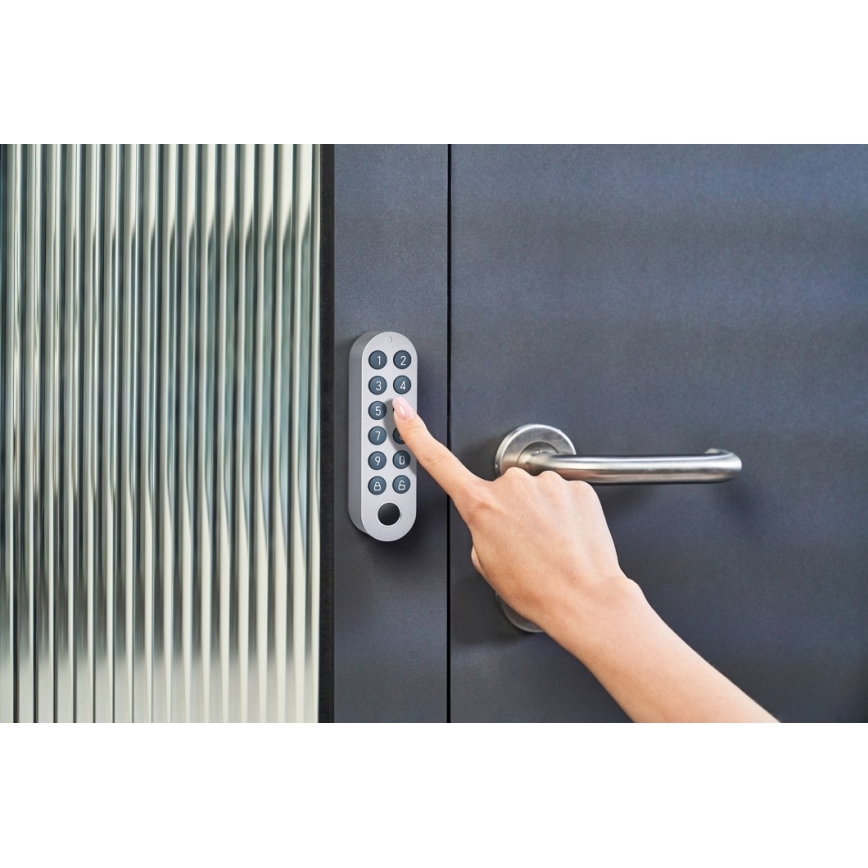 Immax NEO 07764L - Ключалка за врата с клавиатура и смарт портал Tuya