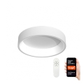 Immax NEO - LED Димируема лампа AGUJERO LED/39W/230V + дистанционно Tuya
