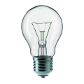 Индустриална крушка E27/60W/230V 2200K