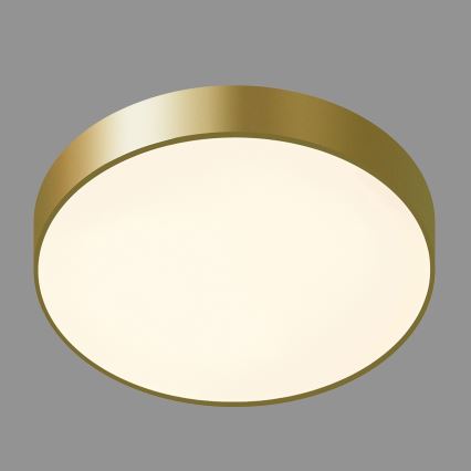 ITALUX - LED Плафониера ORBITAL LED/30W/230V 3000K златист