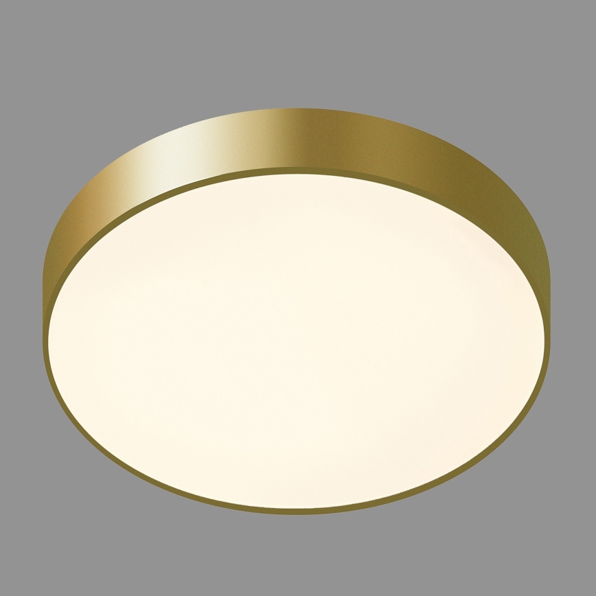 ITALUX - LED Плафониера ORBITAL LED/30W/230V 3000K златист