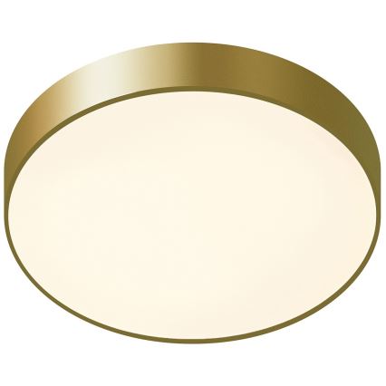 ITALUX - LED Плафониера ORBITAL LED/30W/230V 3000K златист