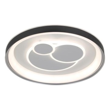 ITALUX - LED димируема таванна лампа FLORINA LED/46W/230V 3000/4000/6500K Ø 49 см черна + дистанционно управление