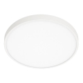 ITALUX - LED Плафониера RIBERIO LED/30W/230V 3000K бял