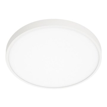 ITALUX - LED Плафониера RIBERIO LED/30W/230V 4000K бял