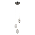 ITALUX - LED полилей на кабел ALANI 3xLED/5W/230V 3000K черен/златен
