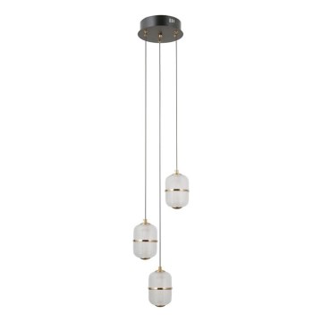 ITALUX - LED полилей на кабел ALANI 3xLED/5W/230V 3000K черен/златен