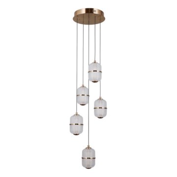 ITALUX - LED полилей на кабел ALANI 5xLED/5,6W/230V 3000K златен