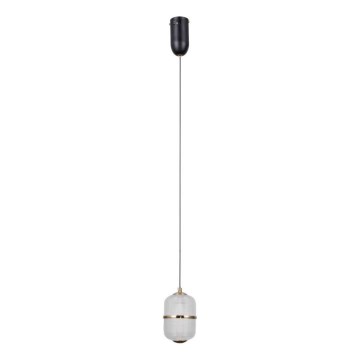 ITALUX - LED полилей на кабел ALANI LED/6W/230V 3000K черен/златен