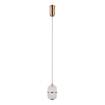 ITALUX - LED полилей на кабел ALANI LED/6W/230V 3000K златист