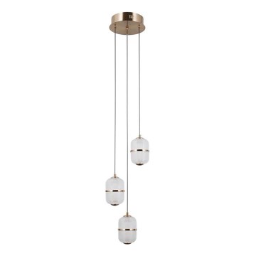 ITALUX - LED полилей с кабелно окачване ALANI 3xLED/5W/230V 3000K златист