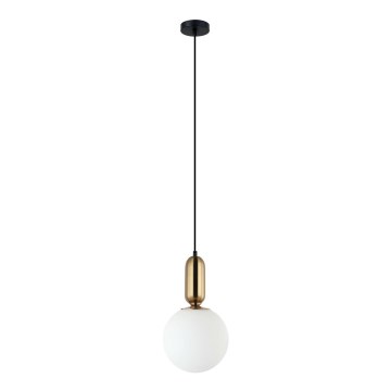 ITALUX - Пендел ALDEVA 1xE27/40W/230V Ø 20 cm черен/бронзов