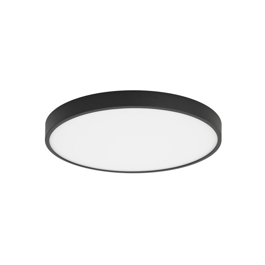ITALUX - LED Плафониера RIBERIO LED/30W/230V 4000K черен