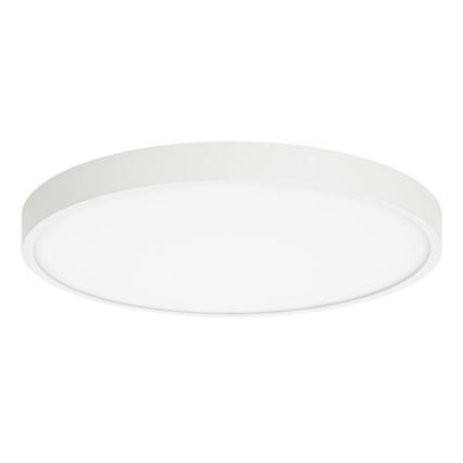 ITALUX - LED Плафониера RIBERIO LED/30W/230V 3000K бял
