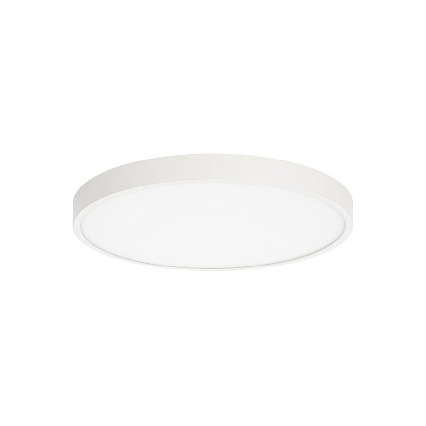 ITALUX - LED Плафониера RIBERIO LED/30W/230V 3000K бял