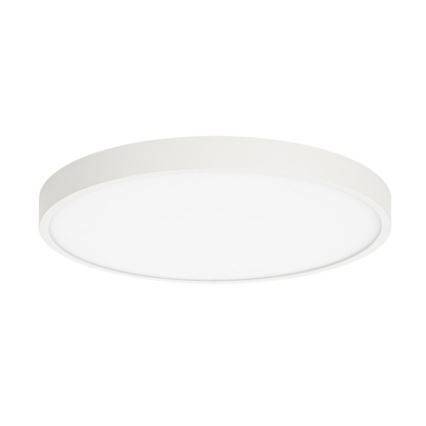 ITALUX - LED Плафониера RIBERIO LED/30W/230V 4000K бял