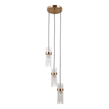 ITALUX - Полилей на кабел TARASO 3xE14/40W/230V златист