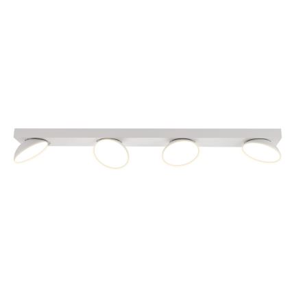 ITALUX - LED Спот CASTELIO 4xLED/5W/230V 4000K бял